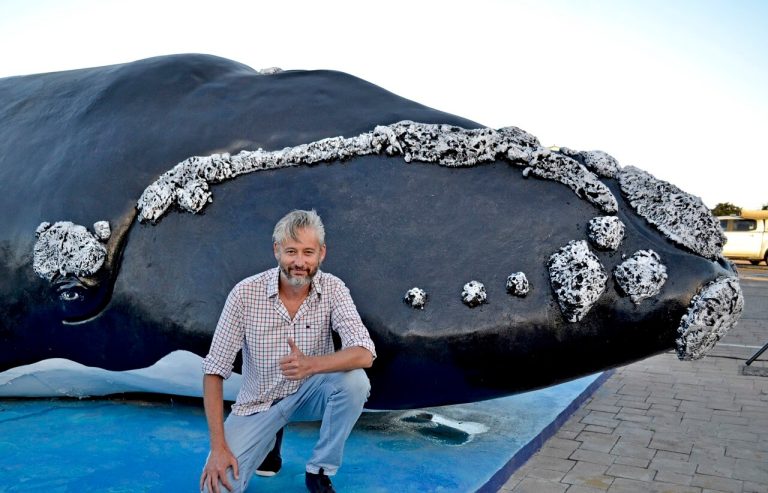 Hermanus Whale Restoration Project